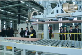 2014大自然木门经销商大会暨泰州新厂盛典 互联网销售战略启新篇